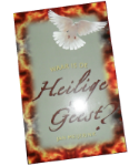 Boek 'Waar is de Heilige Geest?'