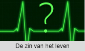 De zin van het leven